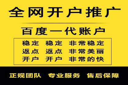 电商成功案例：竞价推广助力品牌崛起